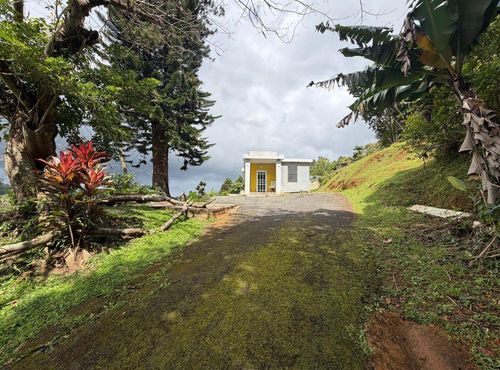 780 St. Km.0.9 Bo Palomas, COMERIO, PR, 00782 | Card Image