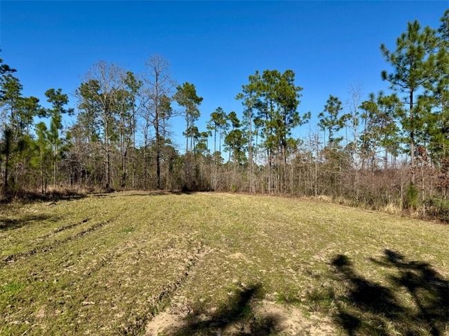 0 Robert White Rd, Home with 0 bedrooms, 0 bathrooms and null parking in Bay Minette AL | Image 24