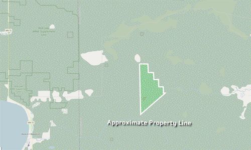 XXX 1262ac Pine Island State Forest, Big Falls, MN, 56627 | Card Image