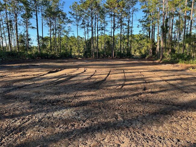 1090 Homestead Cove, Home with 0 bedrooms, 0 bathrooms and null parking in GENEVA FL | Image 4