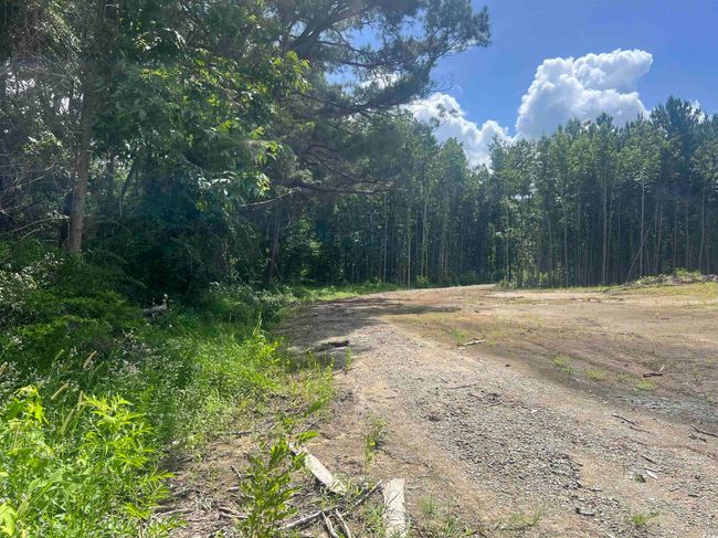 View of Easement going to lot 6B | Image 7
