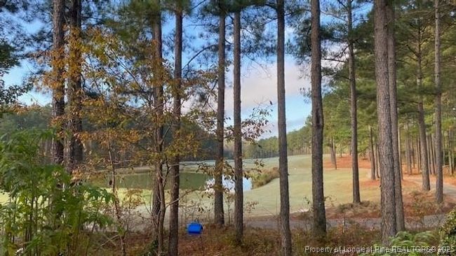 82 Pine Hawk Dr, Townhouse with 3 bedrooms, 3 bathrooms and null parking in Spring Lake NC | Image 7