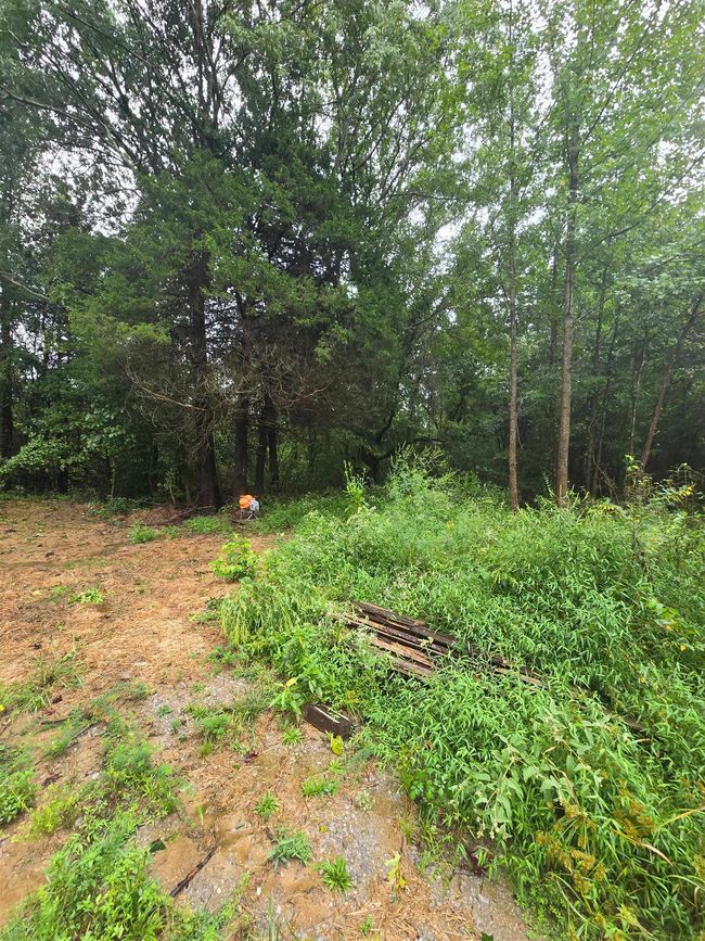 630 Glen Springs Rd, Home with 0 bedrooms, 0 bathrooms and null parking in Drummonds TN | Image 5