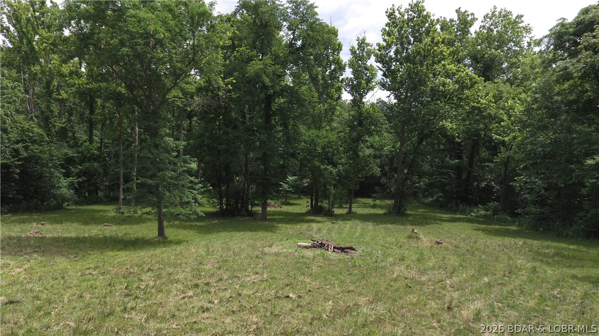 Land in Rocky Mount 5