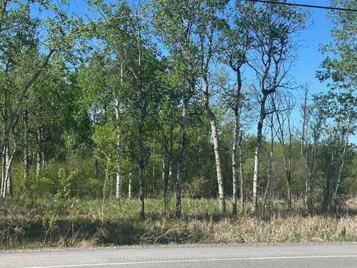 CON 7 PT LT 1 Ravenshoe Road, Georgina, ON, L0E1R0 | Card Image