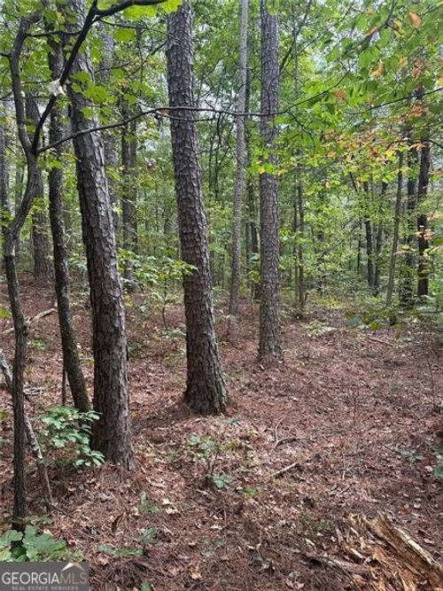 a-3842 Salacoa Rd, Waleska, GA, 30183-2303 | Card Image