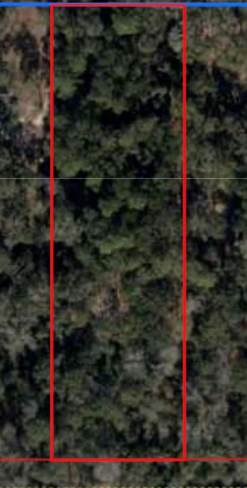Lot 10 Nw 166th Pl, Trenton, FL, 32693 | Card Image