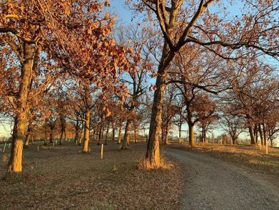 Lot 14 North Ridge Pl, Home with 0 bedrooms, 0 bathrooms and null parking in Kalona IA | Image 3