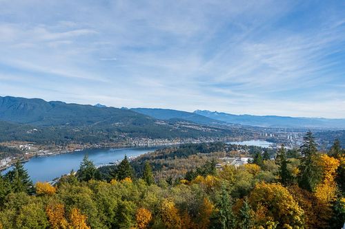 1506-9060 University Cres, Burnaby, BC, V5A0E1 | Card Image