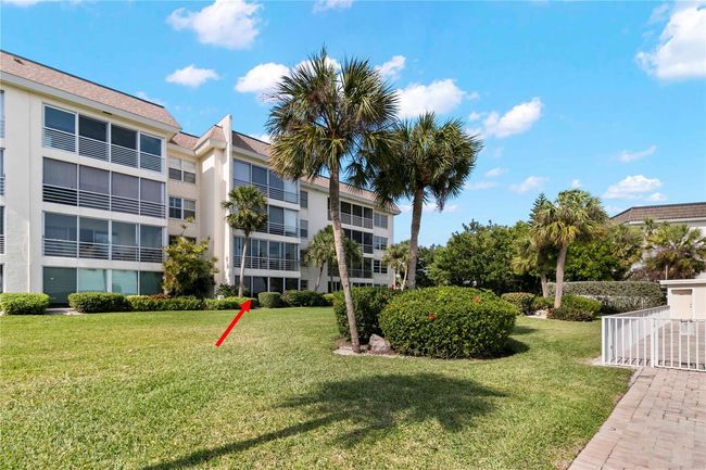 Yard around the pool and Seawall/Docks | Image 26