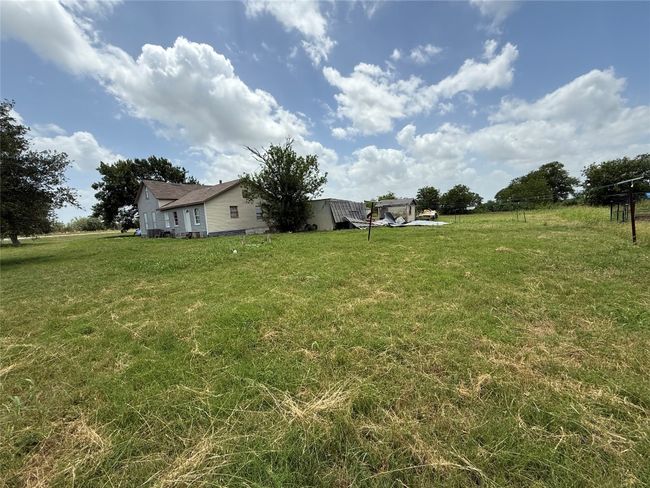 View of green lawn | Image 8