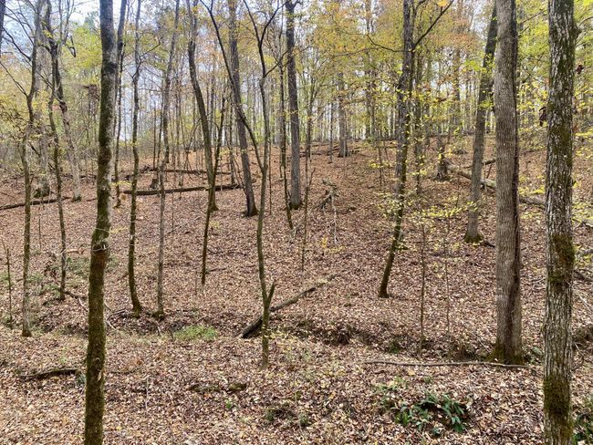 427 Blooming Grove Rd, House other with 2 bedrooms, 2 bathrooms and null parking in Five Points TN | Image 25