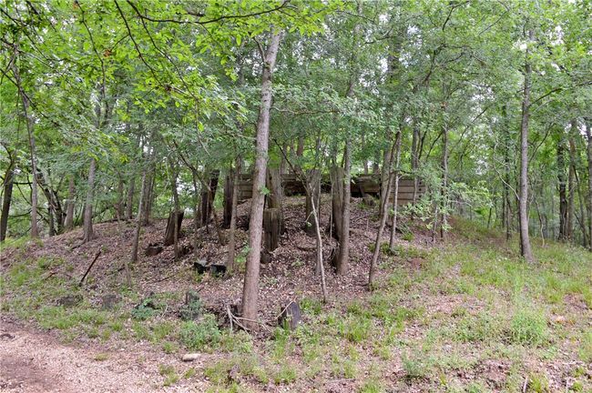 View of local wilderness | Image 26