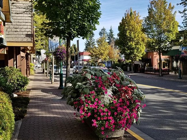 211 - 130 Sunningdale Rd E, Condo with 2 bedrooms, 1 bathrooms and 31 parking in Qualicum Beach BC | Image 36