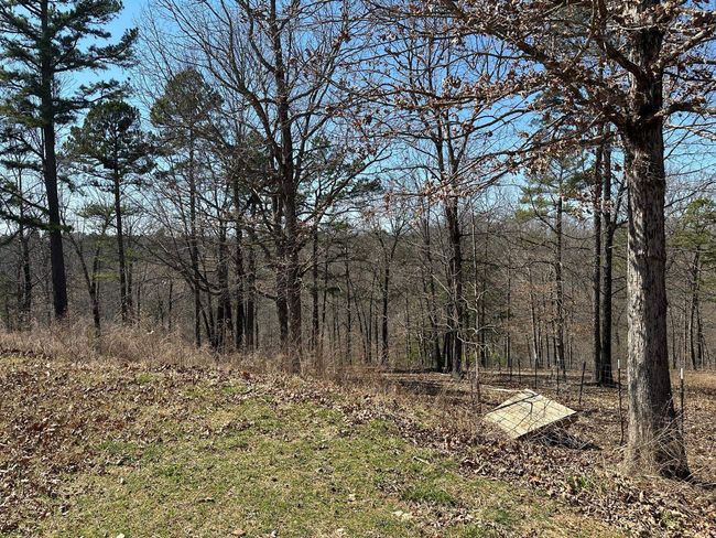 231 Jones Rd, House other with 4 bedrooms, 2 bathrooms and null parking in Yellville AR | Image 24
