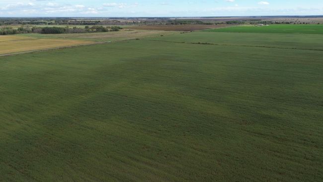DJI_0017.JPG | Image 9
