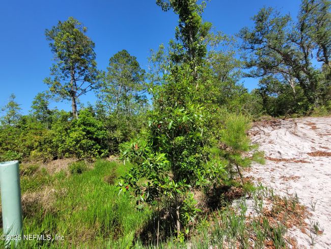 2155 State Road 40, Home with 0 bedrooms, 0 bathrooms and null parking in De Leon Springs FL | Image 69
