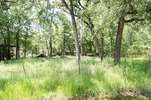 6136 Apache Dr, Mabank, TX, 75156-9052 | Card Image