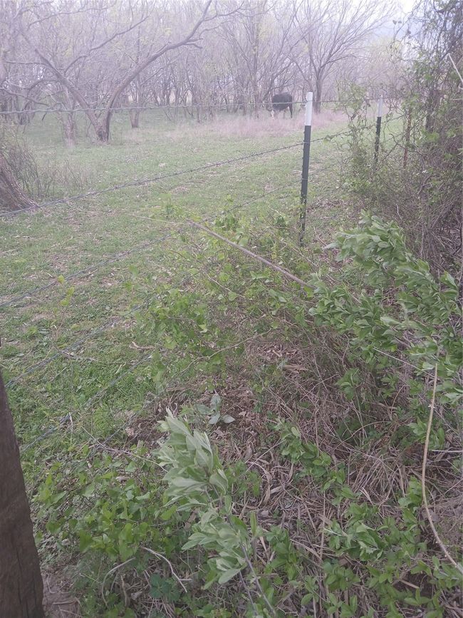 1753 Hcr 3242, Home with 0 bedrooms, 0 bathrooms and null parking in Mount Calm TX | Image 13