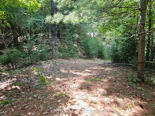 889 A Slate Falls Rd, Addington Highlands, ON, K0H1L0 | Card Image