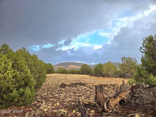 Lot 9 Pinon Valley Ranch, Concho, AZ, 85924 | Card Image