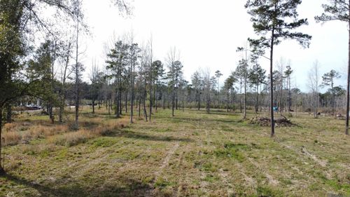Lot 29 Tung Oil Rd, Pine Grove, LA, 70453-2409 | Card Image