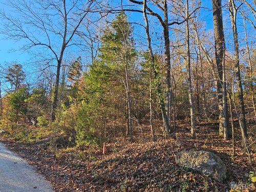 5 Carter 133, Van Buren, MO, 63965 | Card Image