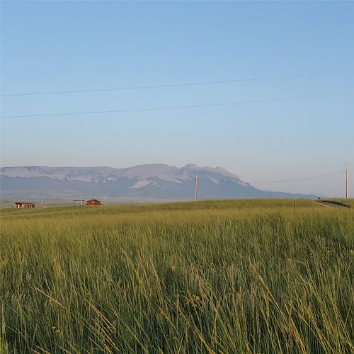 247 Prickly Pear Ln, Augusta, MT, 59410 | Card Image