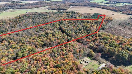 50 Acres Along Bird Lane, Pine Twp/Heilwood, PA, 15957 | Card Image