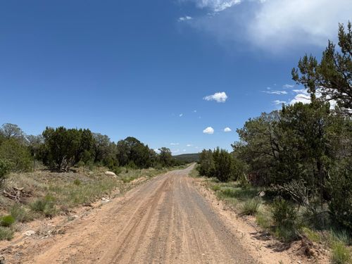 44 Forest Road 321, Estancia, NM, 87016-6813 | Card Image