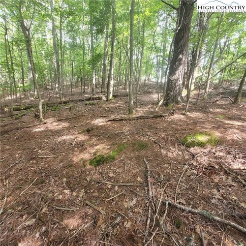 102 Oak Rd, Beech Mountain, NC, 28604-8140 | Card Image