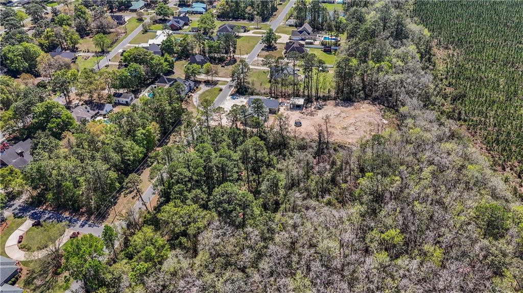 Land in Jesup 5