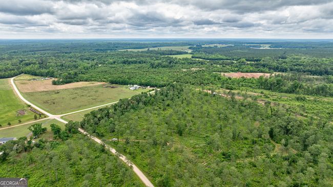 2 MCWHORTER Mcwhorter Rd, Home with 0 bedrooms, 0 bathrooms and null parking in Stephens GA | Image 12