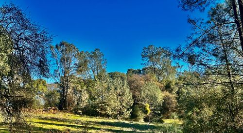 7317 La Porte Rd, Rackerby, CA, 95972-9700 | Card Image