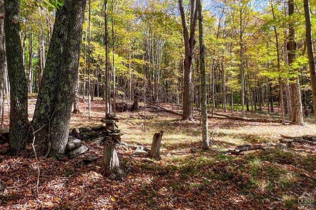 11441184 Hollister Hill Rd, House other with 6 bedrooms, 5 bathrooms and null parking in Delhi NY | Image 90