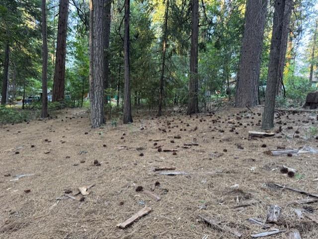 Land in Pollock Pines 4