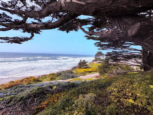 0 Ocean Blvd, Moss Beach, CA, 94038 | Card Image