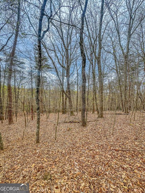 0 Green Mdws, Dahlonega, GA, 30533 | Card Image