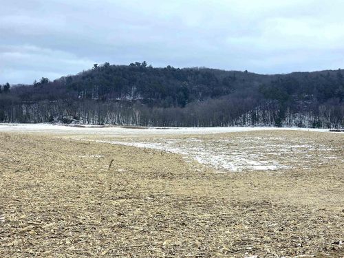 137 Acres Morrissey Road, LEMONWEIR, WI, 53948 | Card Image