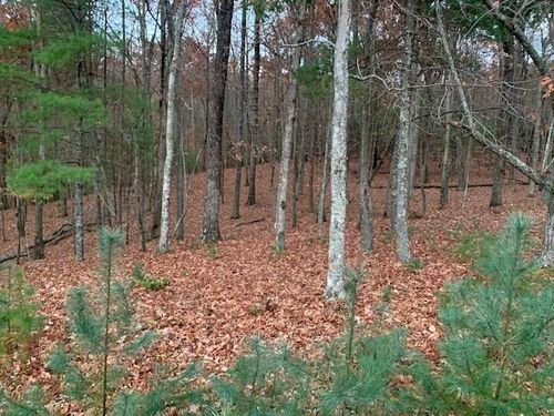Lot 4 Courtney Ln, Blairsville, GA, 30512 | Card Image