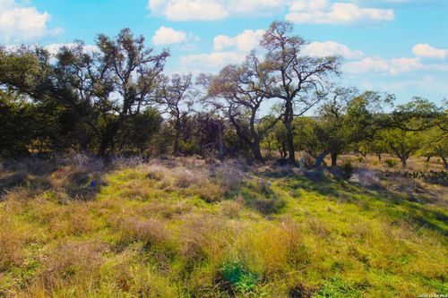 436 Cavy Rd, New Braunfels, TX, 78132-3446 | Card Image