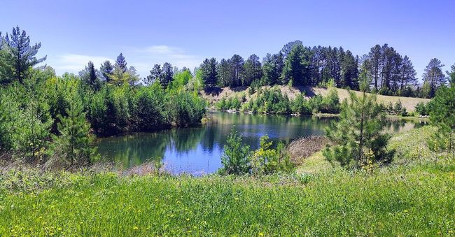 80012 Conifer Crest Rd, Home with 0 bedrooms, 0 bathrooms and null parking in Tower MN | Image 4