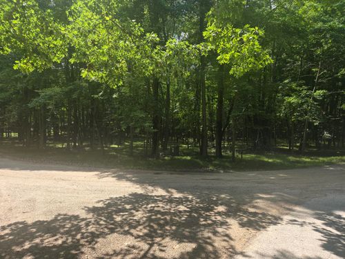 12121 Trail Creek Dr, Canadian Lakes, MI, 49346-9789 | Card Image