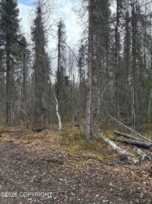 51179 Kashwitna Dr, Willow, AK, 99688 | Card Image
