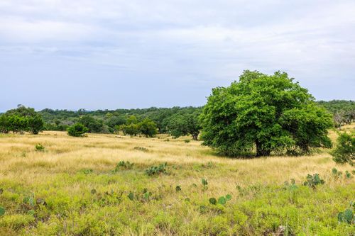 43-Lot 43 Avila Ridge Dr., Kerrville, TX, 78631 | Card Image