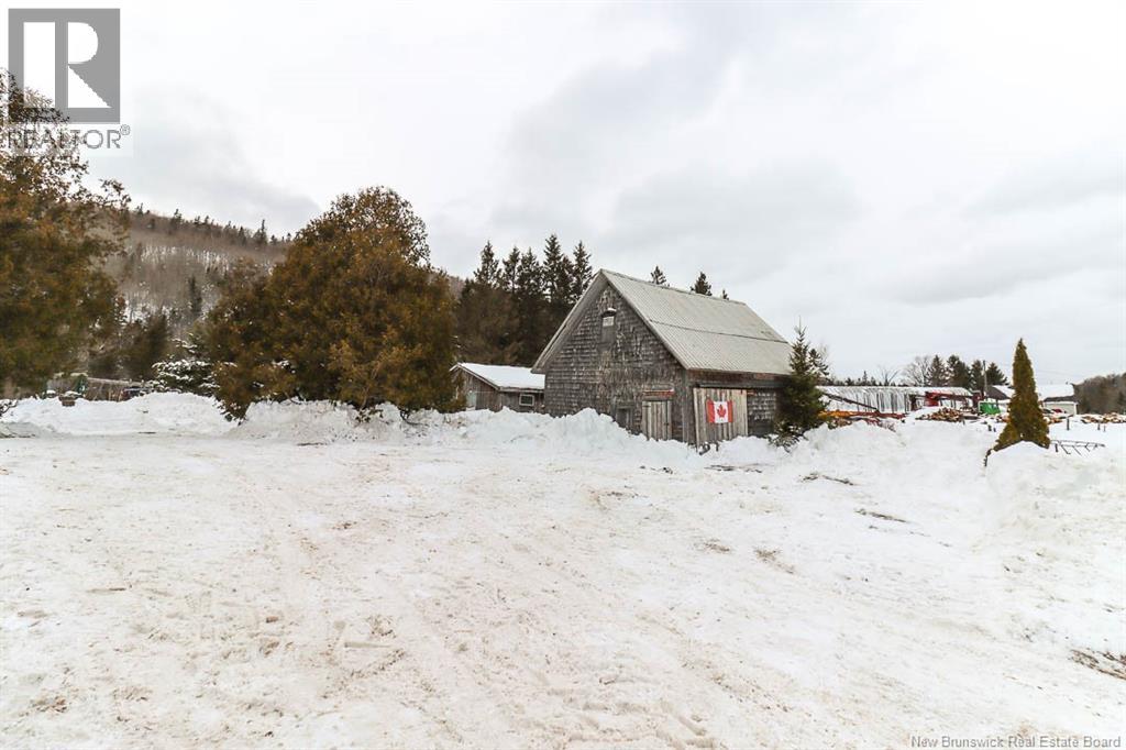 Land in Jeffries Corner 3