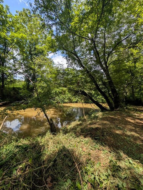 1.0 Ac Old Hwy 64 W, Warne, NC, 28909-8727 | Card Image