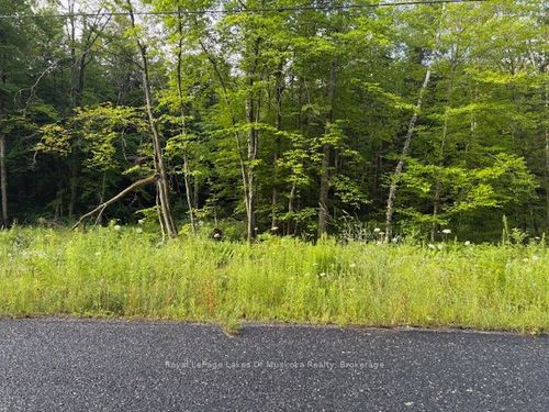 47 Summer Leigh Trail, Utterson, ON, P0B1M0 | Card Image