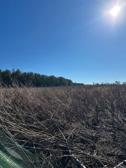 3 N 50th Ave, Gruetli Laager, TN, 37339-4315 | Card Image