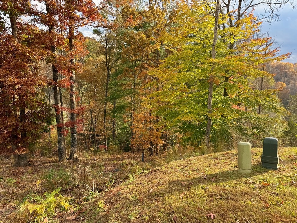 Land in Cullowhee 4